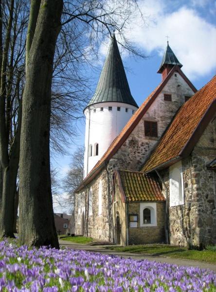 Ferienwohnung Anna Suderstapel エクステリア 写真